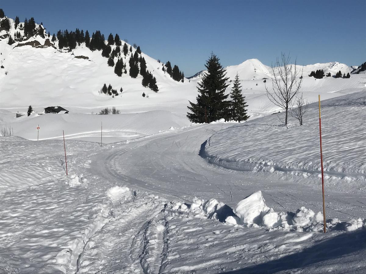 Residence Les Chardons Argentes Samoëns Exteriör bild